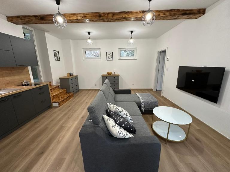 Vila Fráňa apartmán 5 - Ferienwohnung Budweis