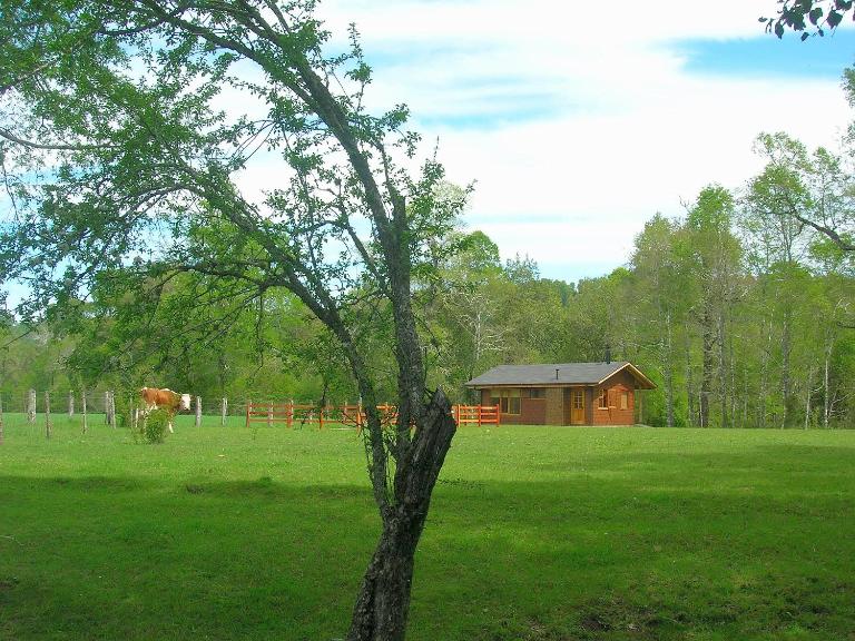 Cabañas Valle del Río - B&B Curacautín