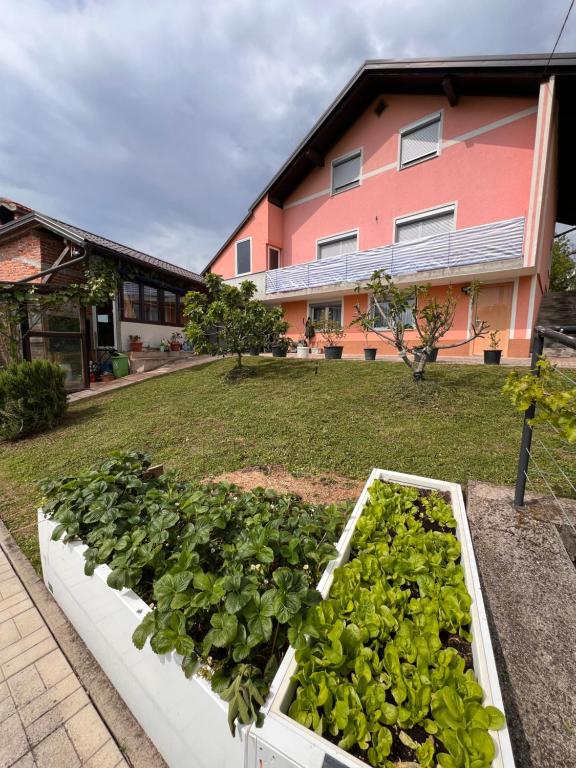 House Crkvina - B&B Srednji Bušević