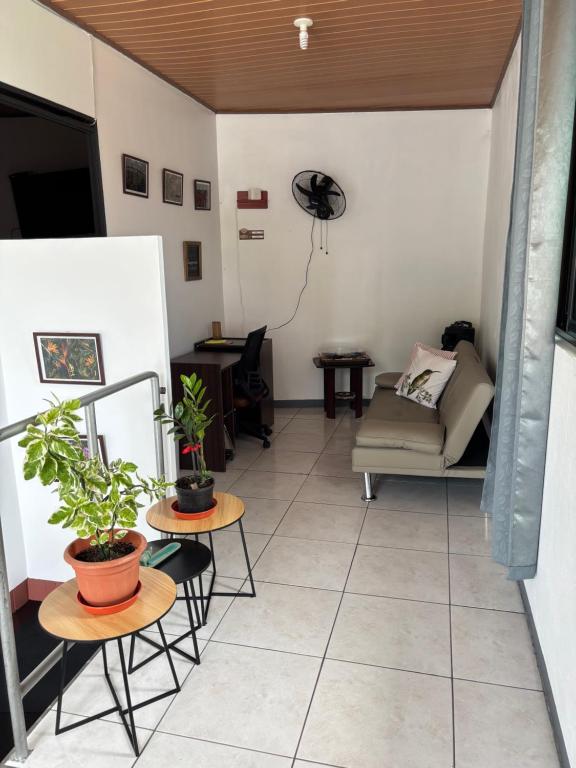 Depa Koral - B&B Ciudad de Limón