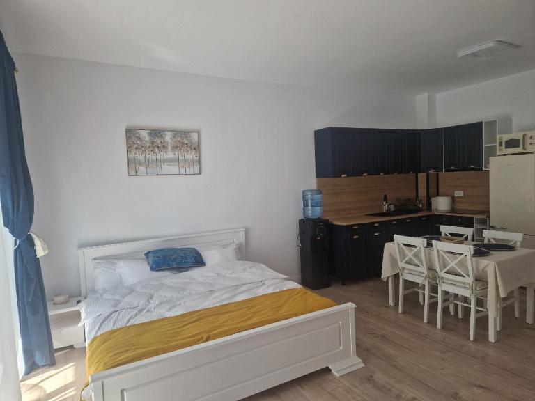Studio Felix Relax MABO 21& 22 - Ferienwohnung Băile Felix