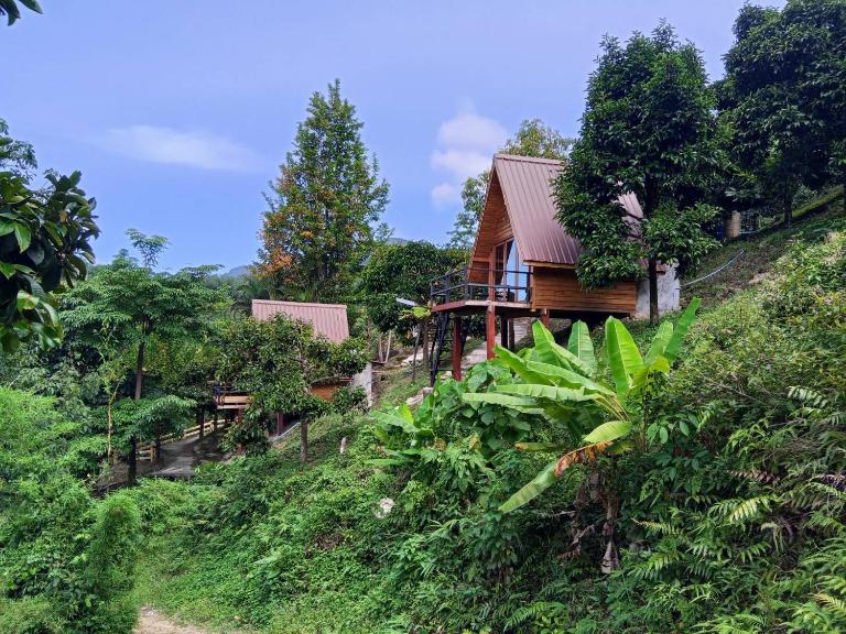 The BED Forest Camp Lansaka ฟอเรสแค้มป์ ลานสกา - Bed and Breakfast Ban Nai Baep
