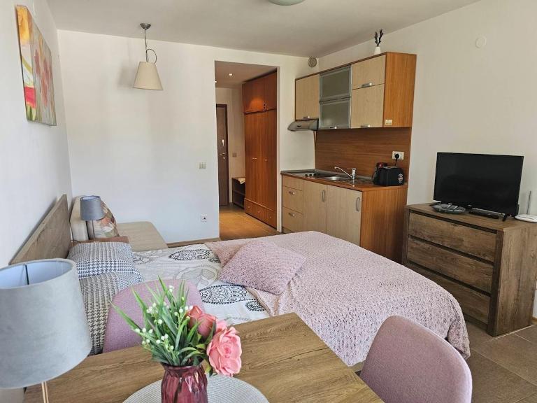 Cozy studio 125 in Villa Park - Chambres d'hôtes Borovets