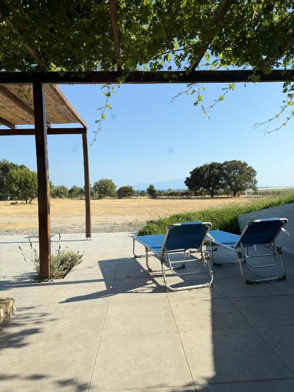 Vines horizon - B&B Alexandroupoli