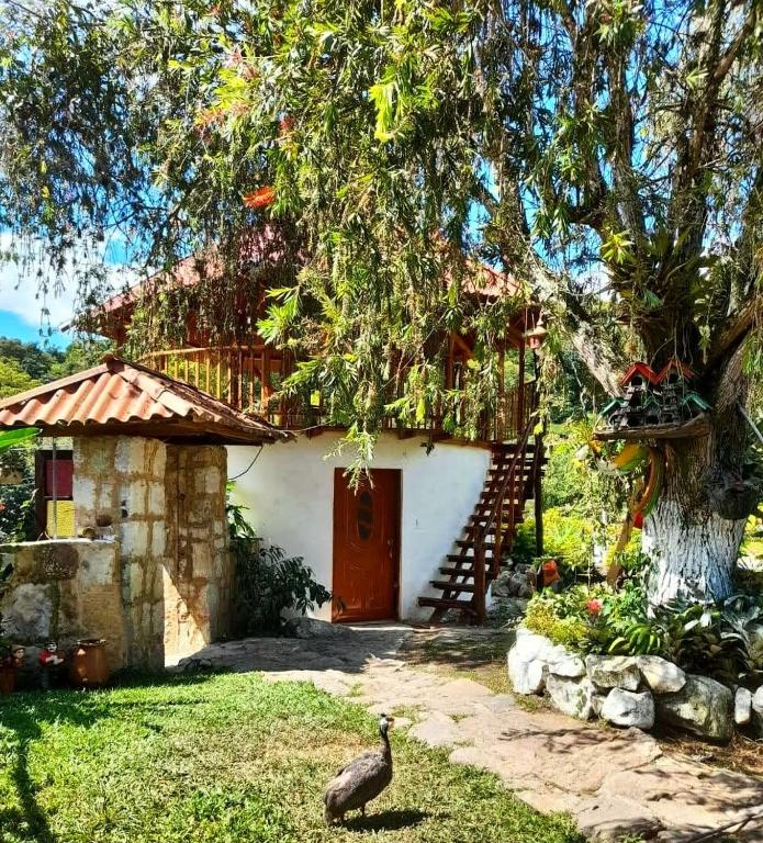 Cabaña Orquidea Campestre - B&B Fusagasugá