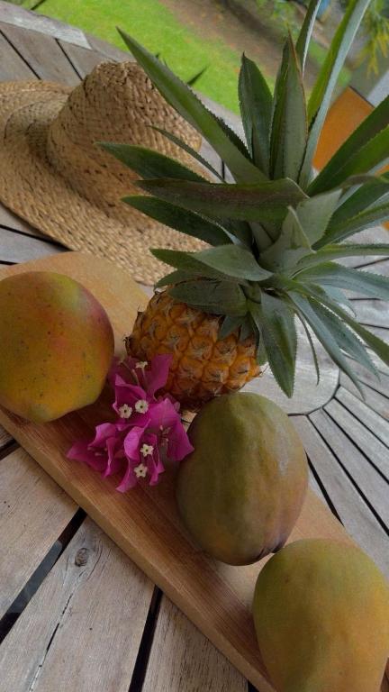 Ti’Bou des Îles de Guadeloupe - B&B Le Moule