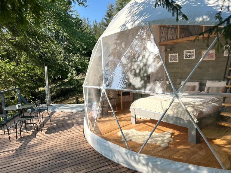 White Fox Dome - B&B Harghita-Băi