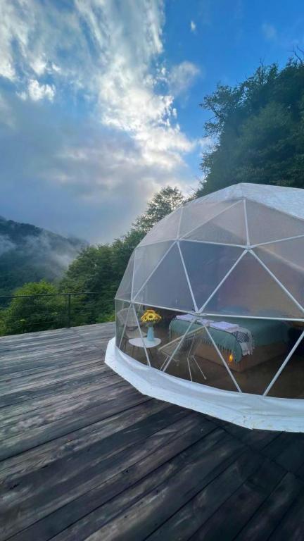 Mtirala Yurt - Ferienwohnung Batumi