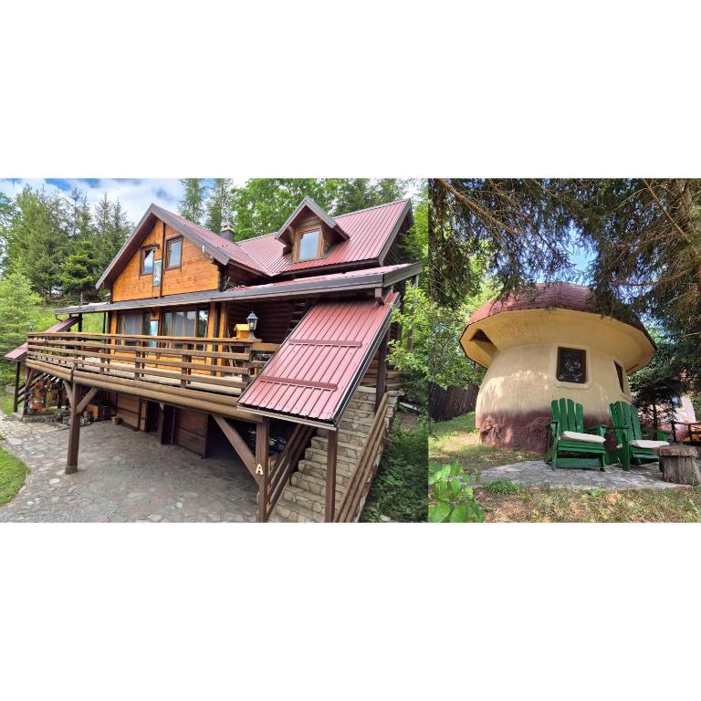 Art Apartments Minic - B&B Kolašin