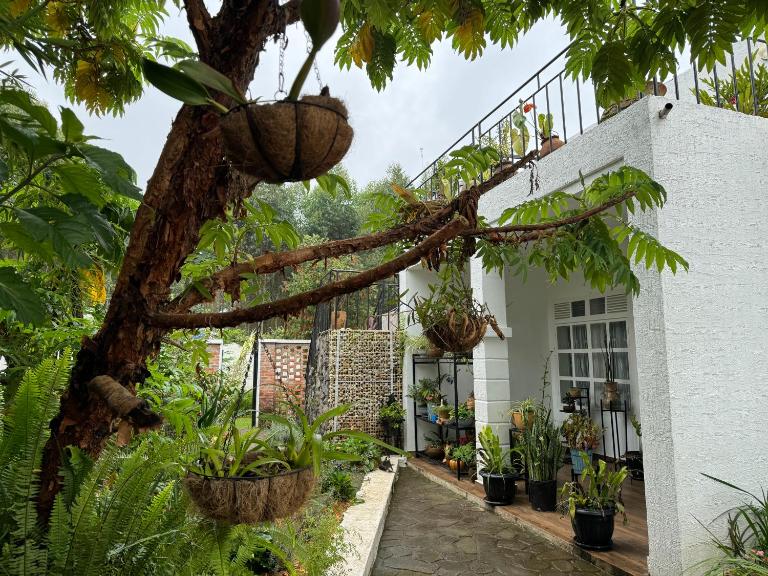Roselune Home - B&B Gasanze Hill