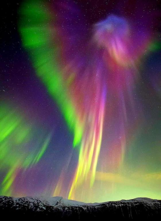 Arctic Dream - B&B Gratangen