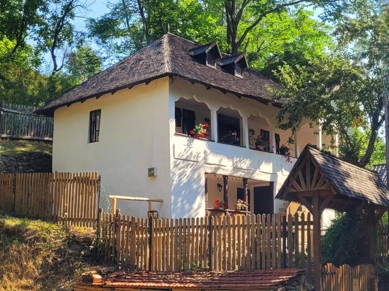 Conacul Copilăriei - Bed and Breakfast Ruginoasa