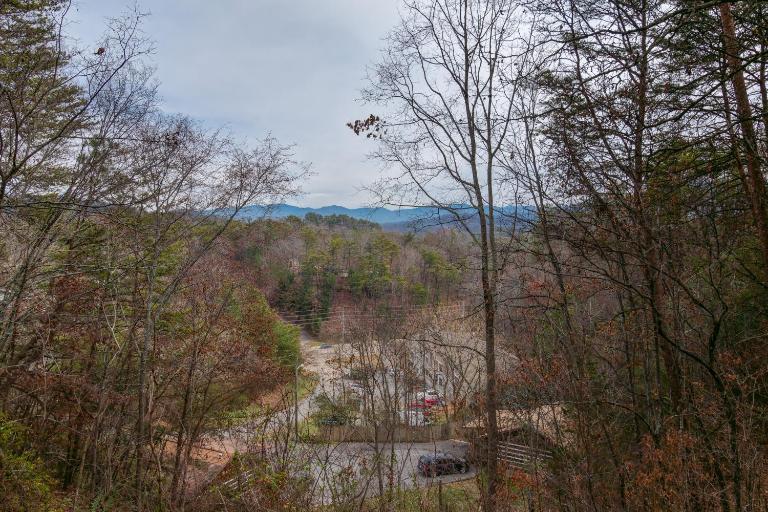 Beary Good Time by American Patriot Getaways - Bed and Breakfast Pigeon Forge