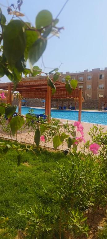 Bay View Sahl hasheesh Apartment Hurghada - B&B Hurghada
