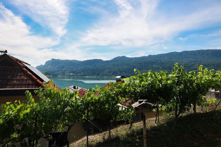Guesthouse am See LOOM - B&B Plescherken