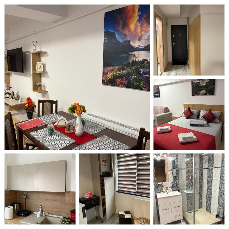 Studio Lavinia - Chambres d'hôtes Eforie Nord