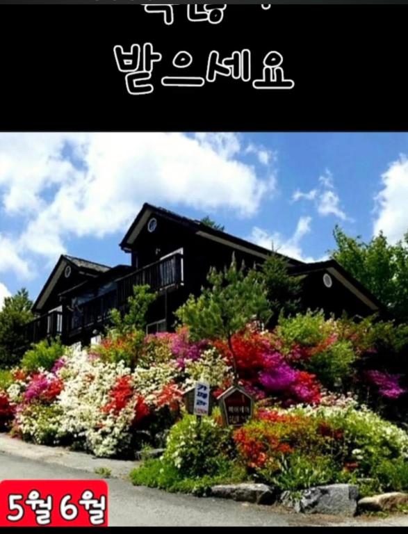 Gilson Story Pension - B&B Pyeongchang County