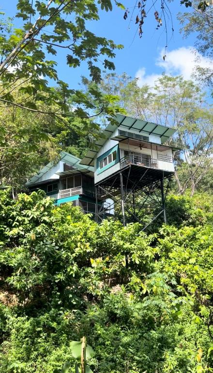 The Emerald Haven - Bed and Breakfast Parrita