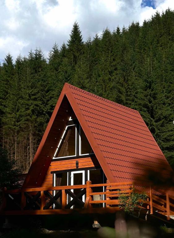 Під озером Синевир 2 - B&B Synevyrska Poliana