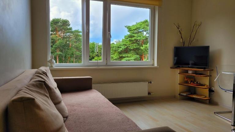 Artist's apartment in Jurmala - B&B Jūrmala