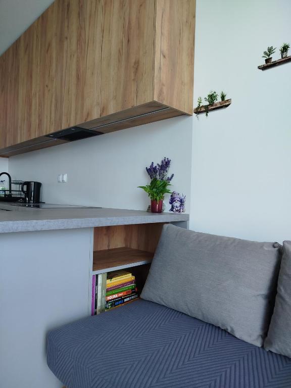 Apartament Lawendowy - Ferienwohnung Wieliszew