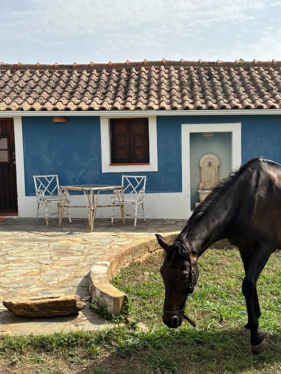 Suite no campo - B&B Cercal