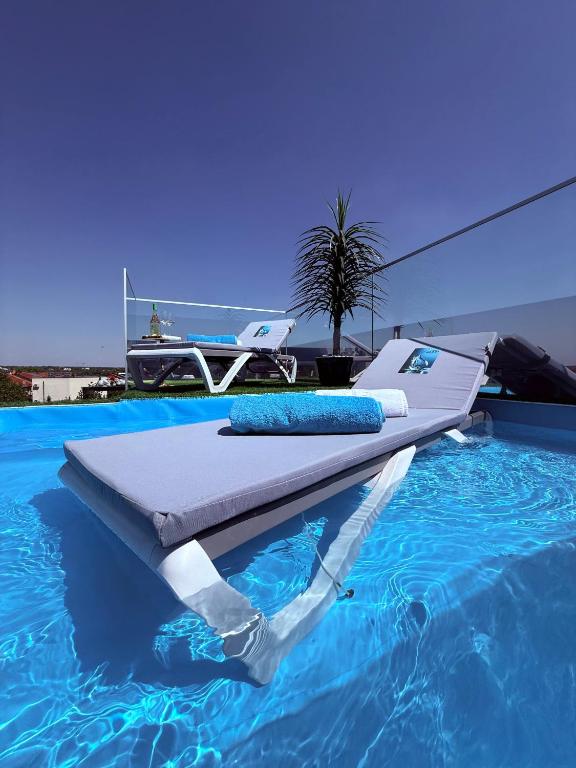 Jas Pipera Studio & Private Pool - B&B Voluntari