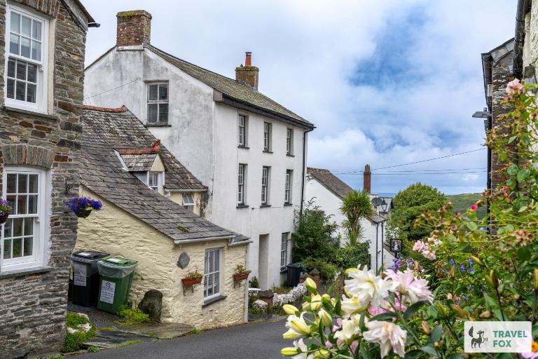 The Bird's Nest - Free Parking! - B&B Boscastle
