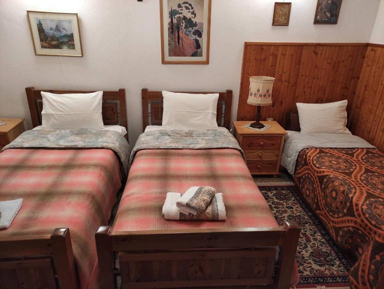 Δυάρι ισόγειο παραδοσιακής οικίας με μεγάλο κήπο - Bed and Breakfast Aráchova