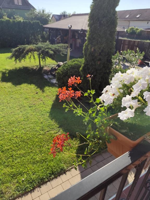 Emi's House - B&B Sângeorgiu de Mureş