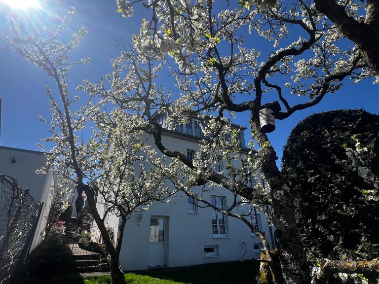 Gemütlich wohnen über Besigheim - Ferienwohnung Besigheim