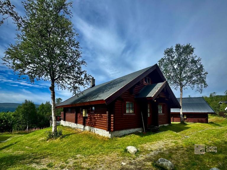 Beitostølen Cabin - Sauna, large terrace and BBQ - Chambres d'hôtes Beitostølen