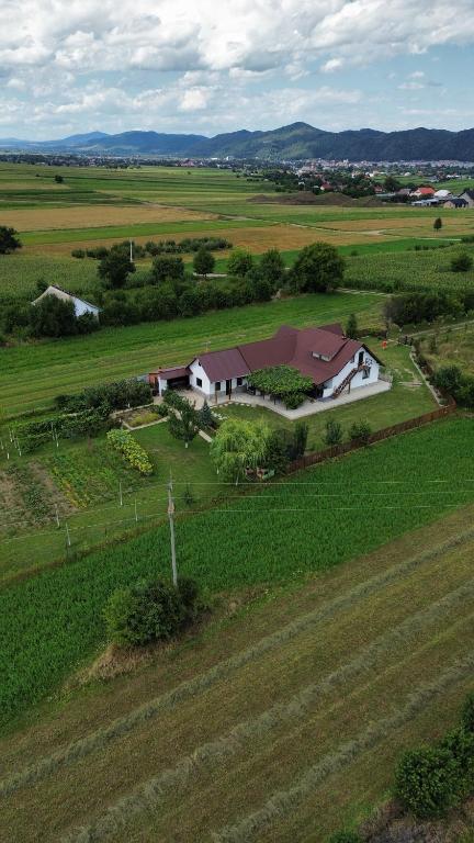 Căsuța din Deal - Ferienwohnung Târgu Neamţ