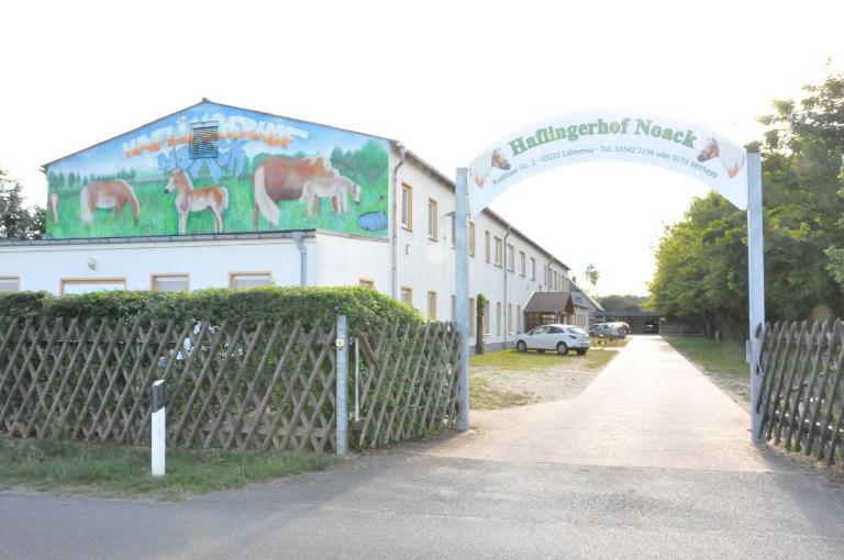 Haflingerhof Noack - Ferienwohnung Groß Klessow