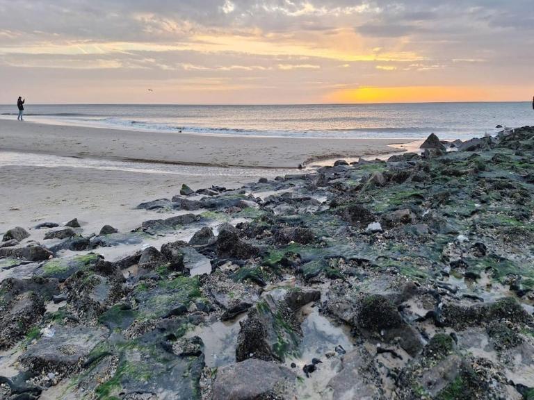 Apartment house Katharina, Westerland - B&B Westerland