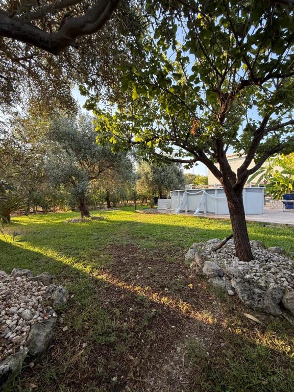 Casa degli Ulivi - Ferienwohnung Belvedere