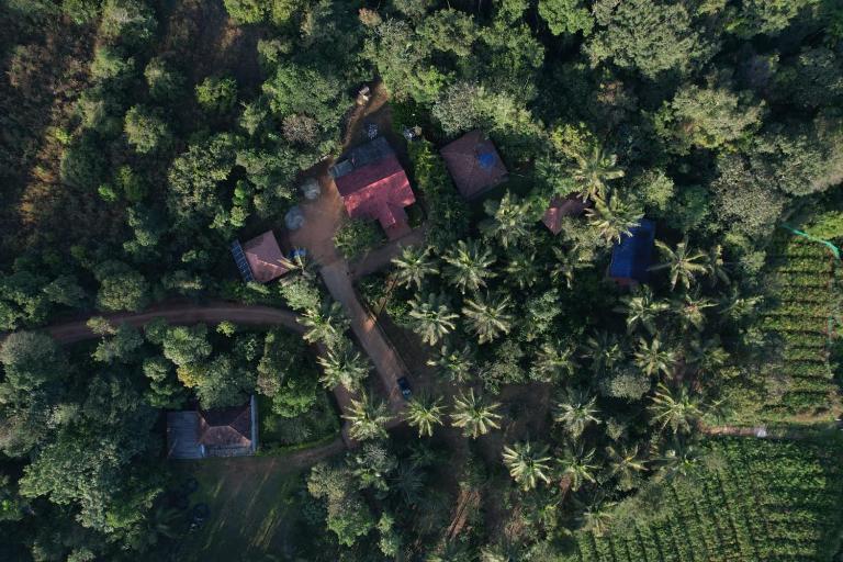 Hasiru Homestay - B&B Mudgere