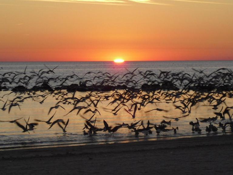 Large Waterfront canal home W Kayaks and covered boathouse - B&B Crystal River