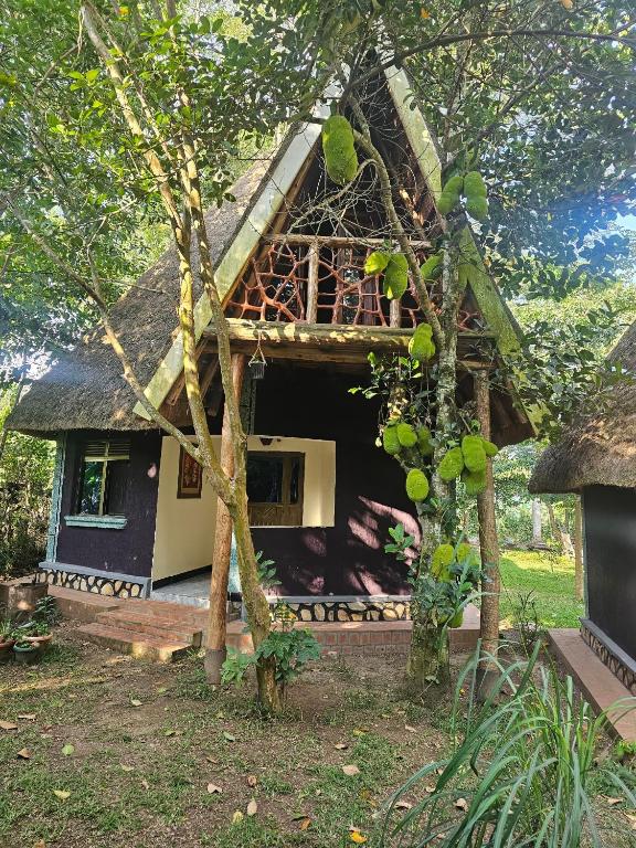 Nguru Farm Cottages - B&B Wakiso