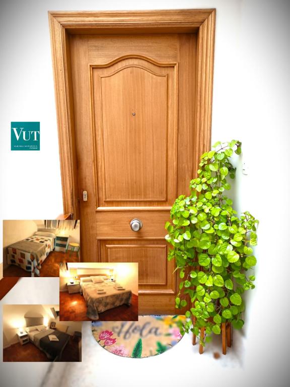Apartamento Moni - Bed and Breakfast Benia
