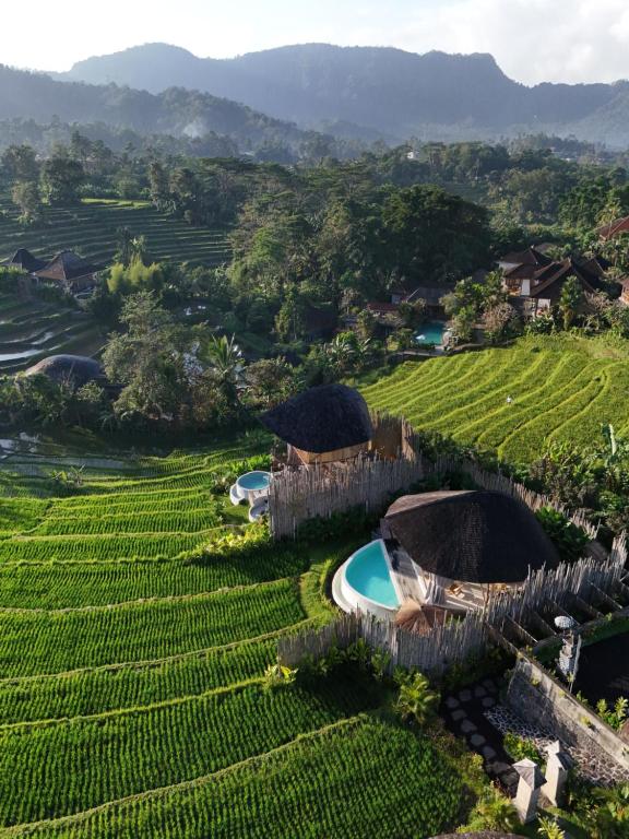 Nivriti Bali - B&B Sidemen
