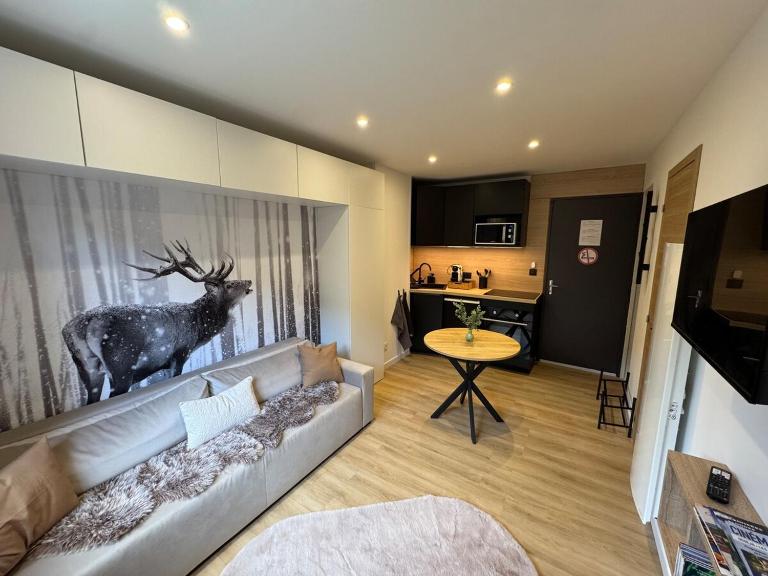 Studio le Grand Cerf - B&B Les Angles