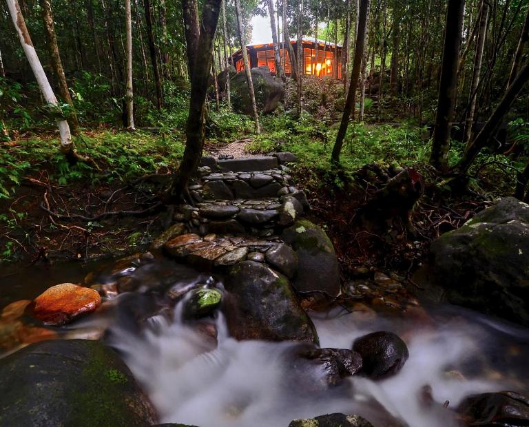 Daintree Cascades - B&B Cape Tribulation