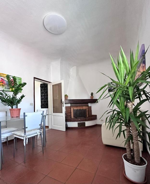 Giuggiola in Florence - B&B Florence