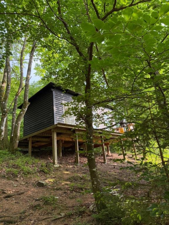 Idylisk primitiv hytte midt i skoven - B&B Them