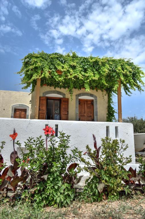 Grandes Apartments Kouremenos - Bed and Breakfast Palekastro