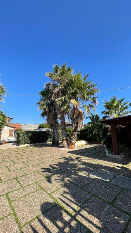 Una Civetta al Mare - B&B Monopoli