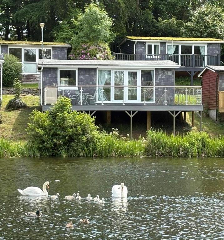 Lakeside Lodge 84 - B&B Caeathro