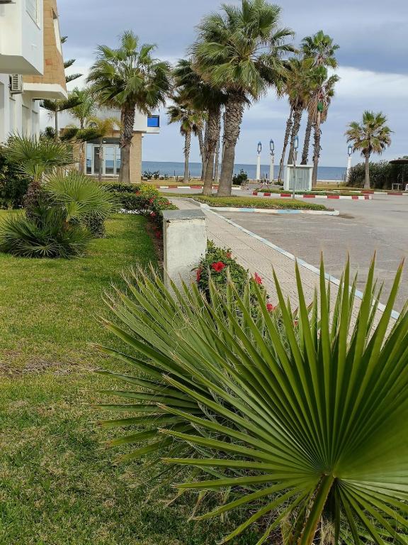 Appartement moderne à 100 m de la plage - Marina Smir II, M'DIQ - - Ferienwohnung Mdiq