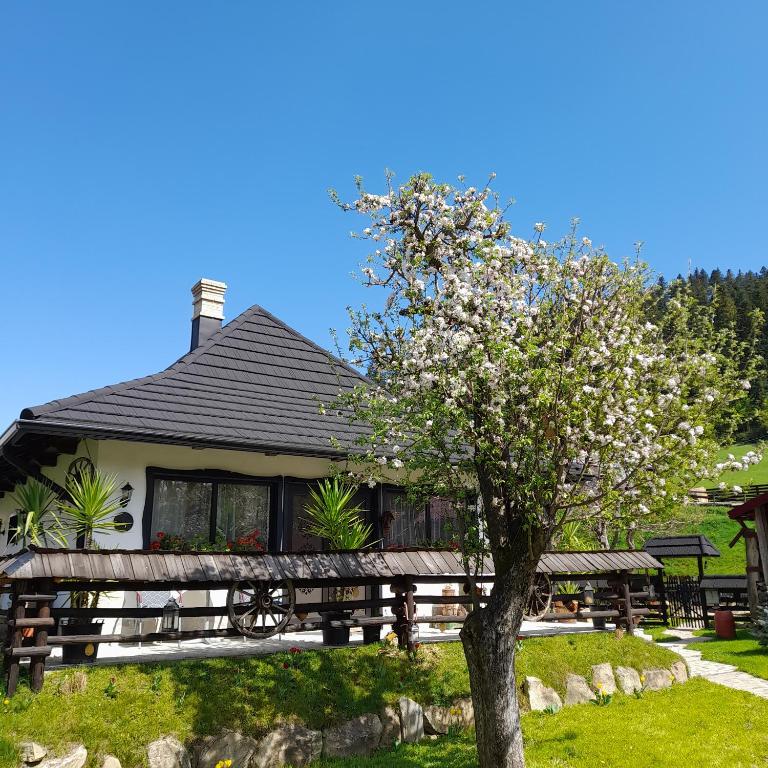 Casa tradițională bucovineana - B&B Putna